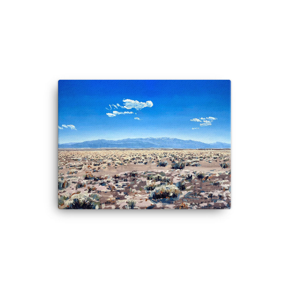 'Chico Basin. San Luis Valley. CO' -2023