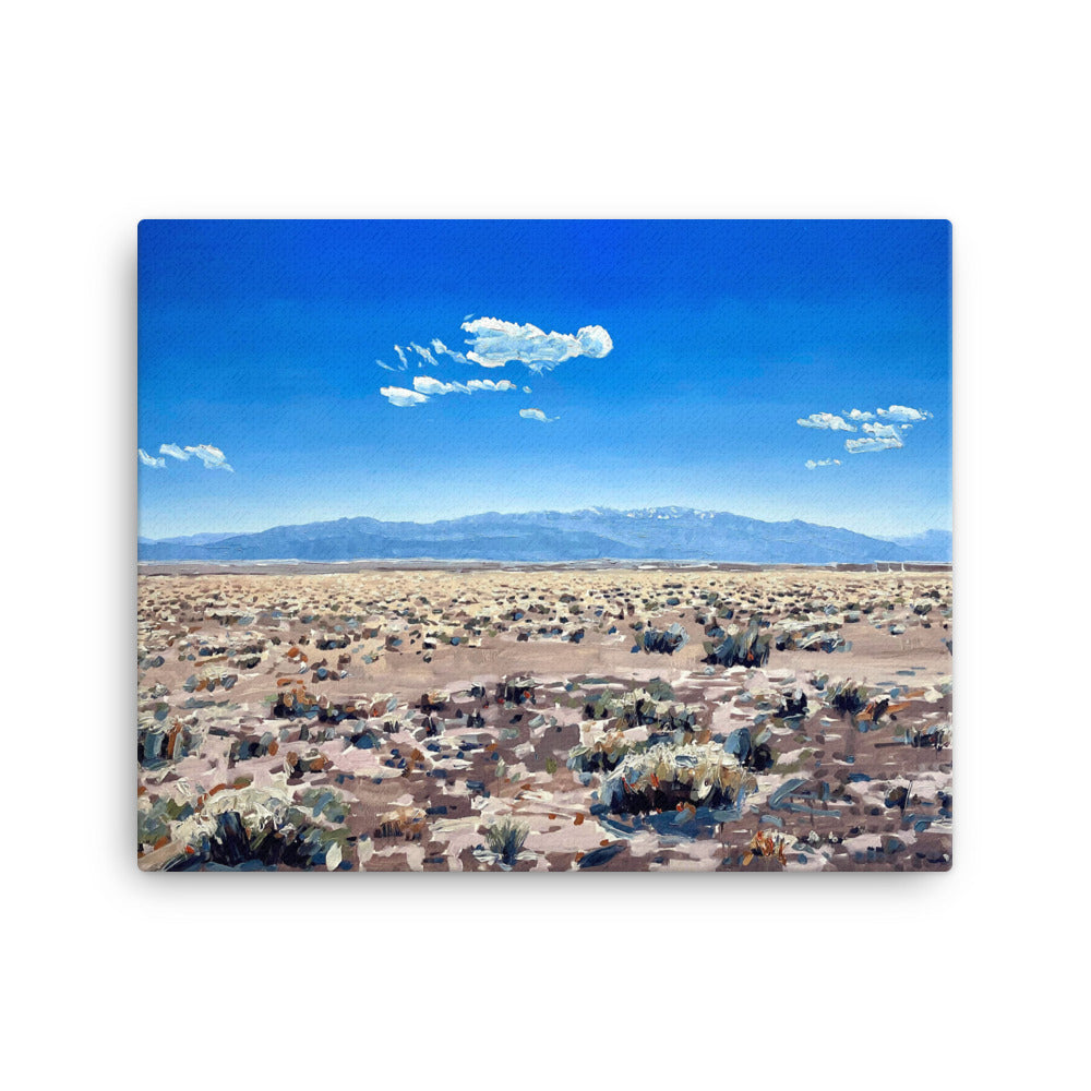 'Chico Basin. San Luis Valley. CO' -2023