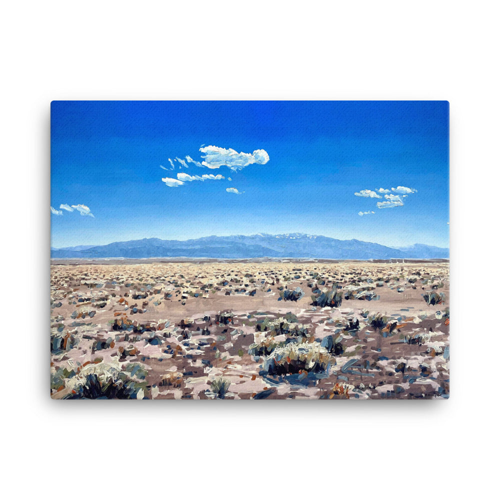 'Chico Basin. San Luis Valley. CO' -2023
