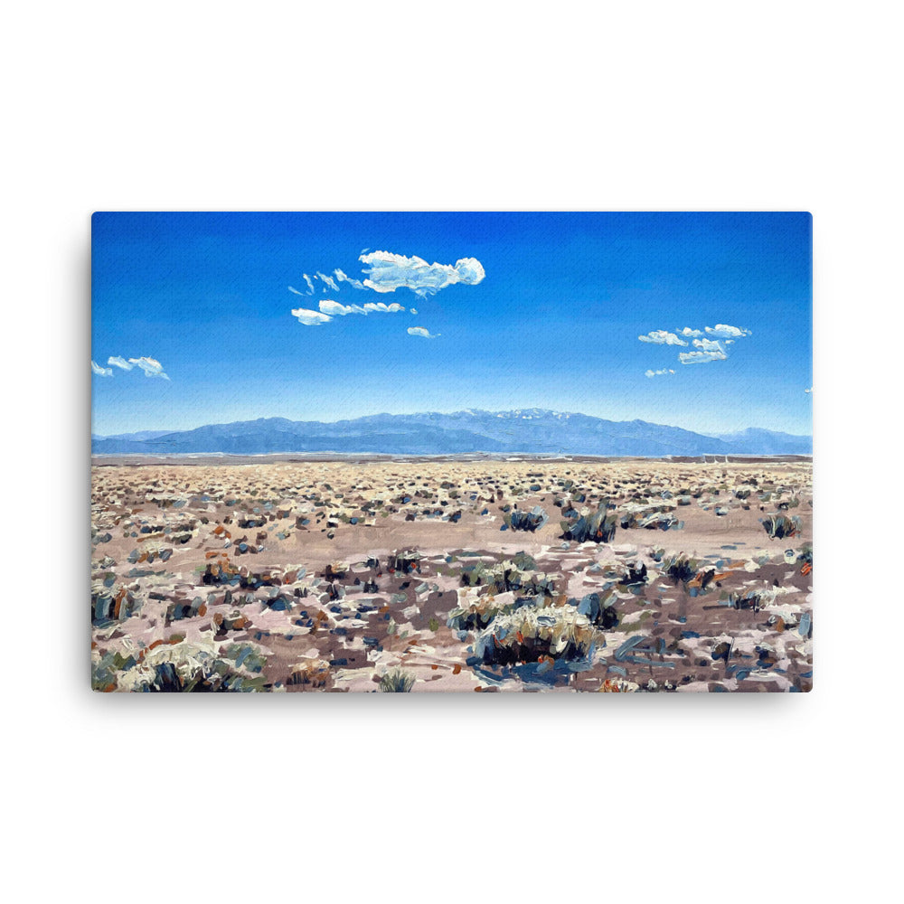 'Chico Basin. San Luis Valley. CO' -2023