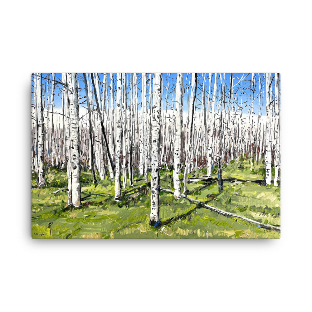 'Aspen Forest' -2023