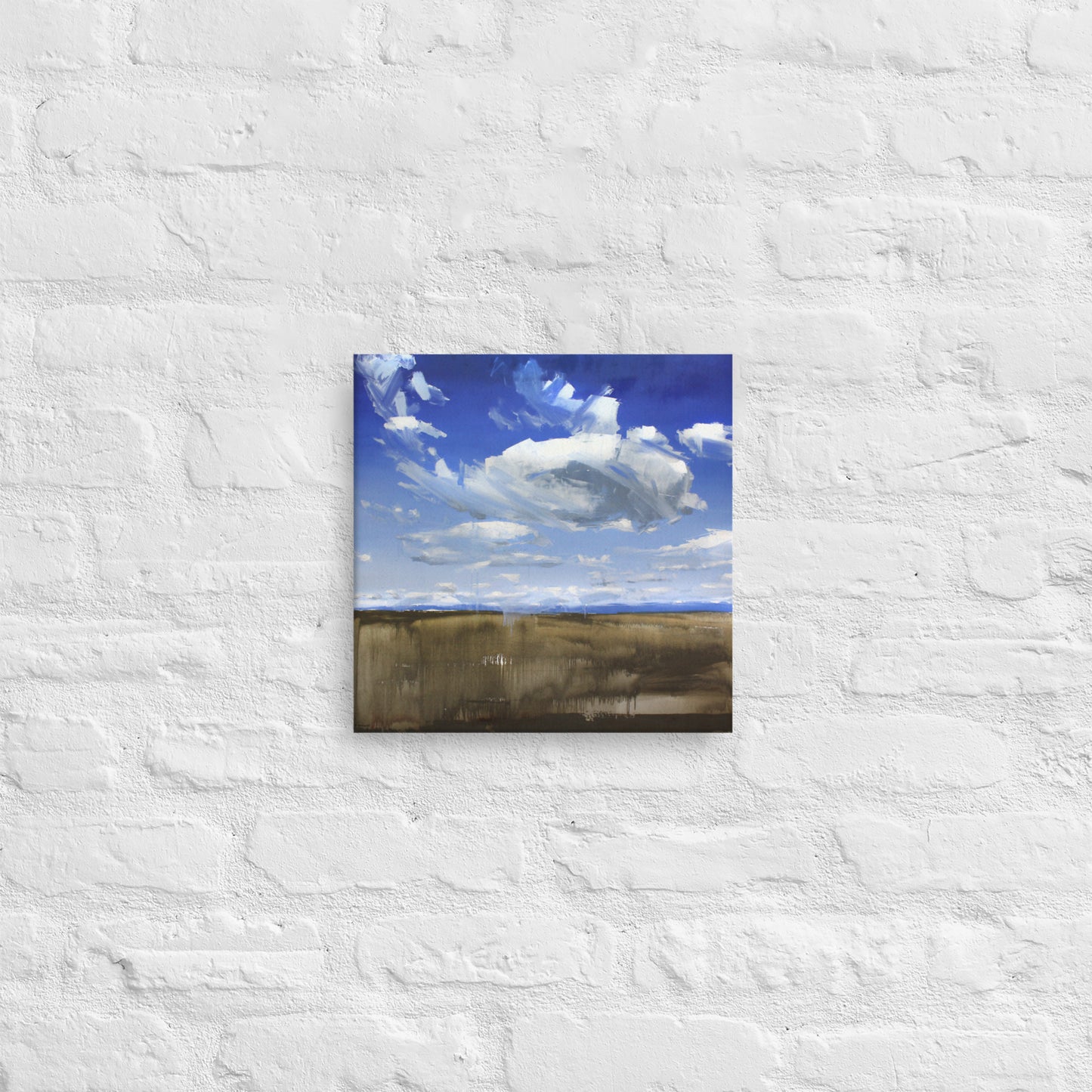 'Wyoming Sky' 2017