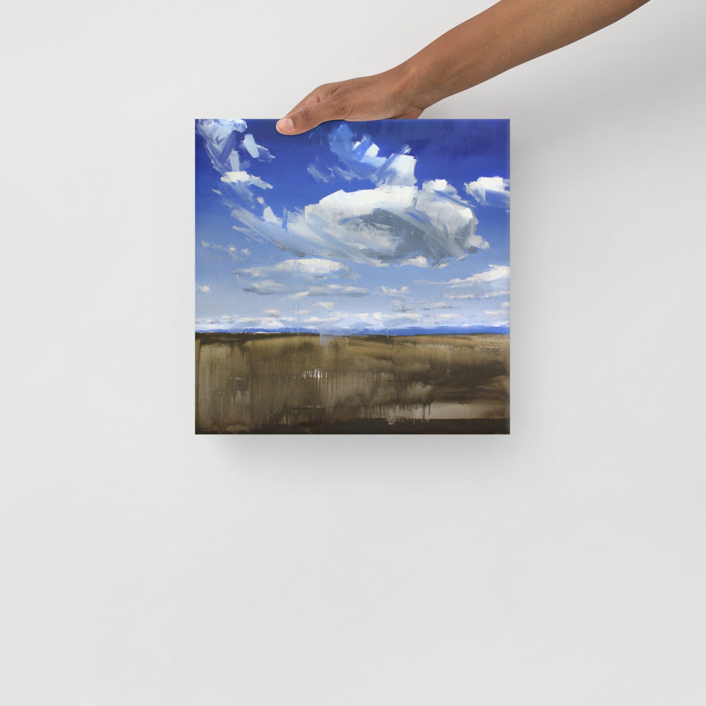 'Wyoming Sky' 2017