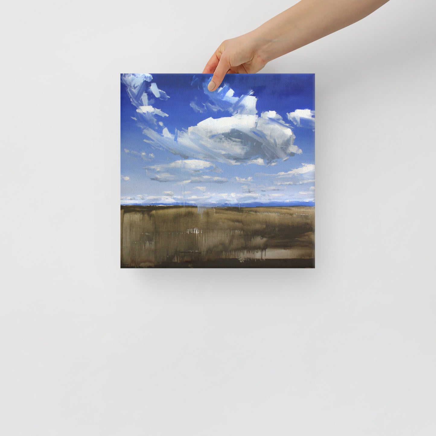 'Wyoming Sky' 2017
