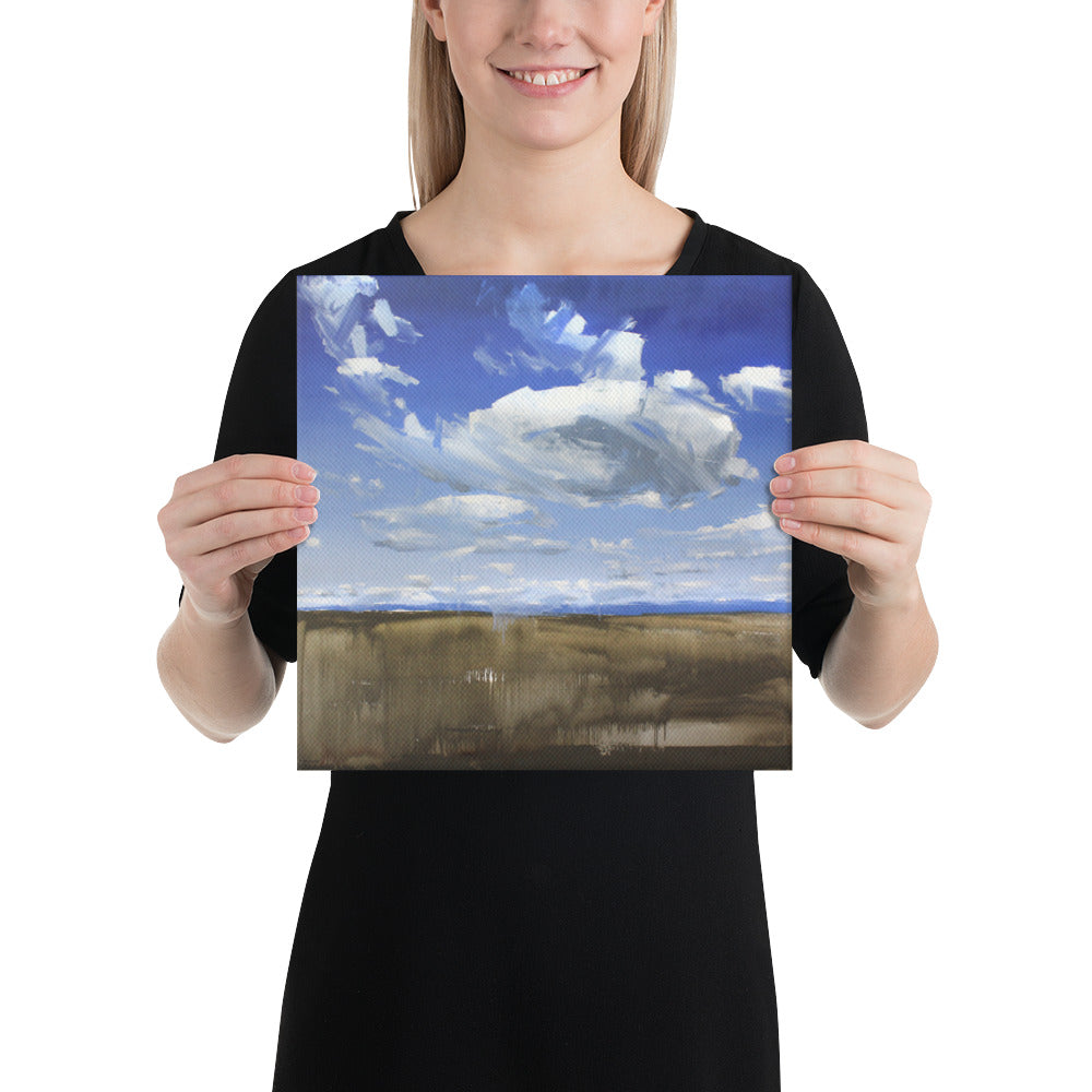 'Wyoming Sky' 2017