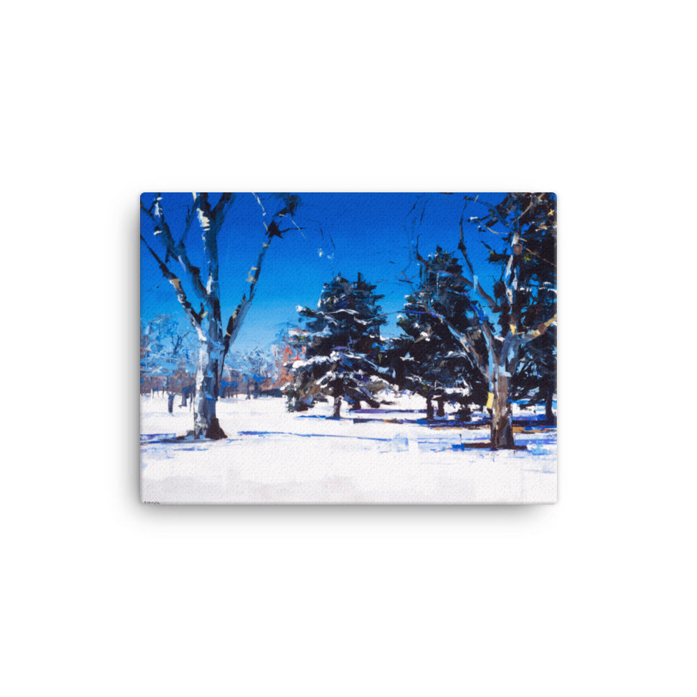 'Snow at City Park. Denver CO' -2013