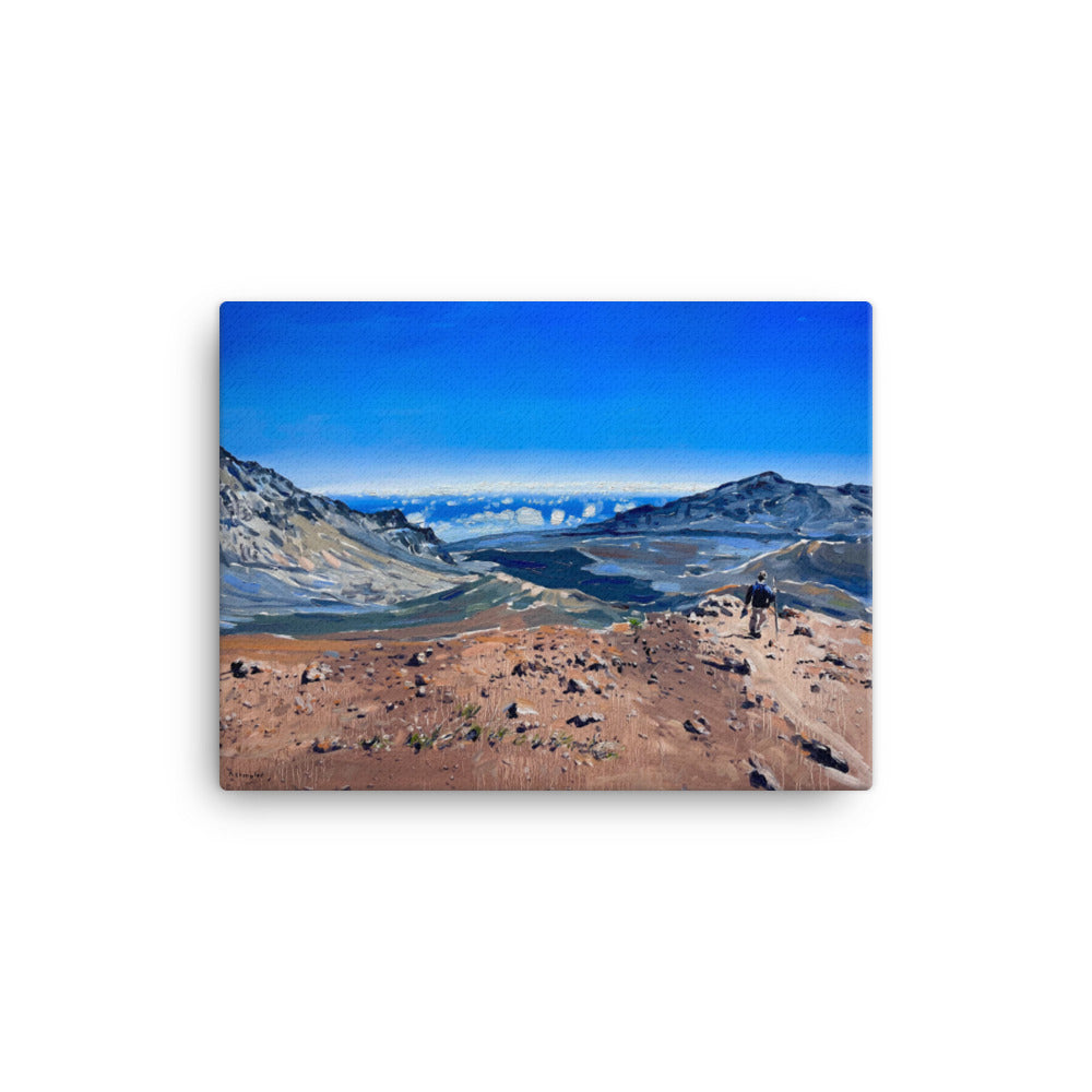 'Haleakala National Park on Maui' -2023