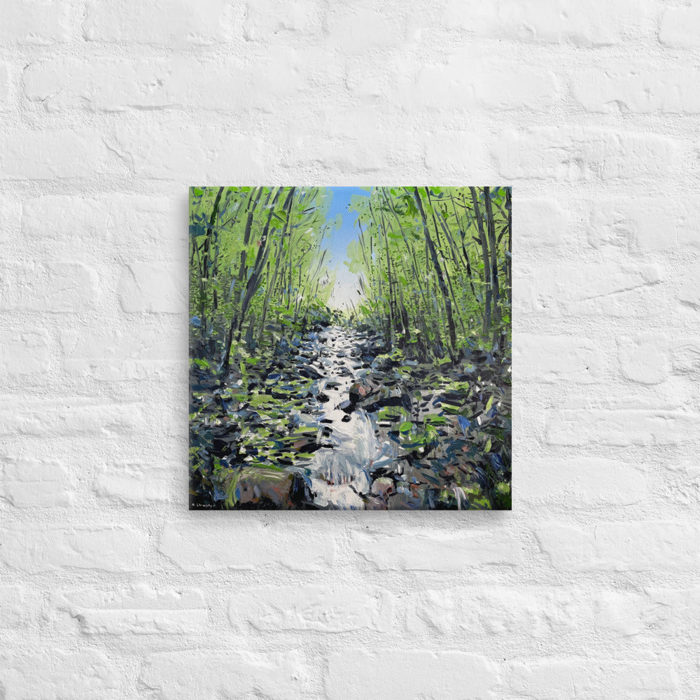 'Grandfather Mt. Creek. NC' -2021