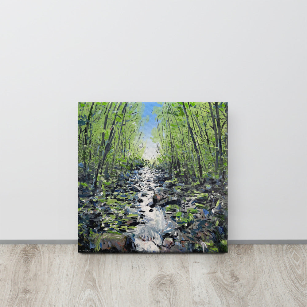 'Grandfather Mt. Creek. NC' -2021