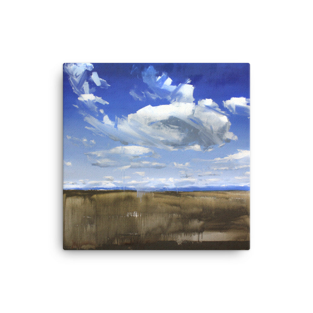 'Wyoming Sky' 2017