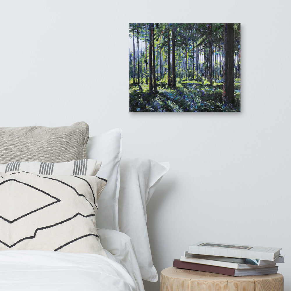 'Nantahala National Forest. NC' -2020