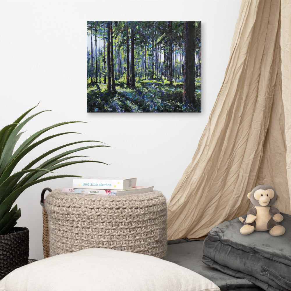 'Nantahala National Forest. NC' -2020