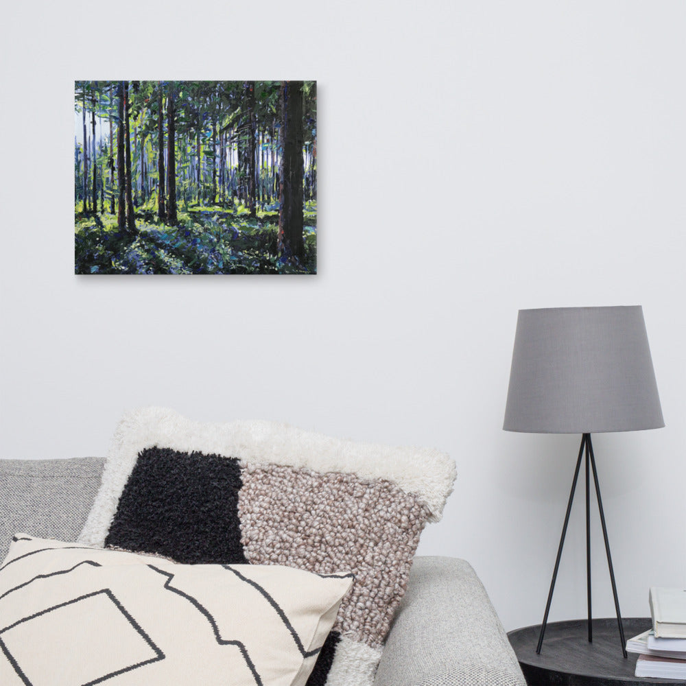 'Nantahala National Forest. NC' -2020