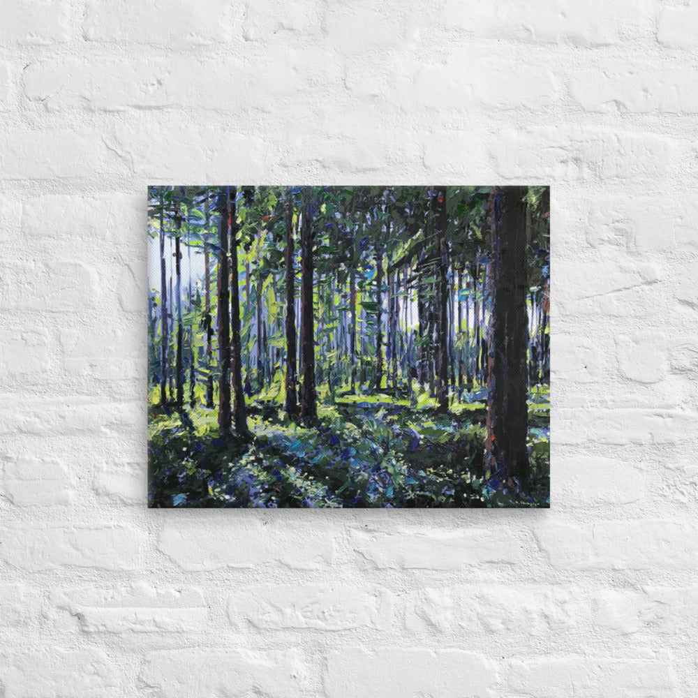 'Nantahala National Forest. NC' -2020