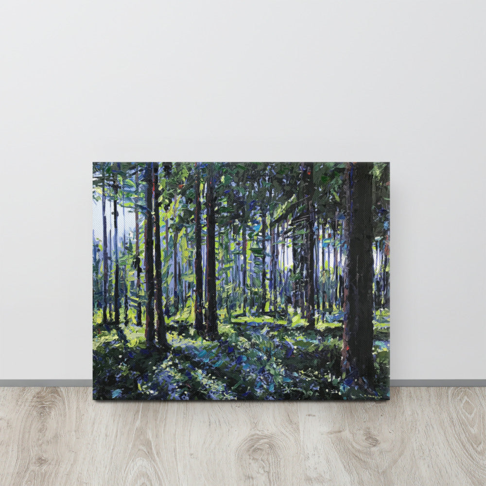 'Nantahala National Forest. NC' -2020