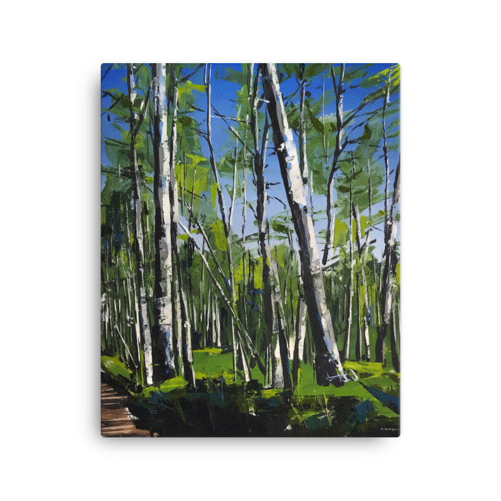 'Spring Aspens. Telluride, CO' -2018