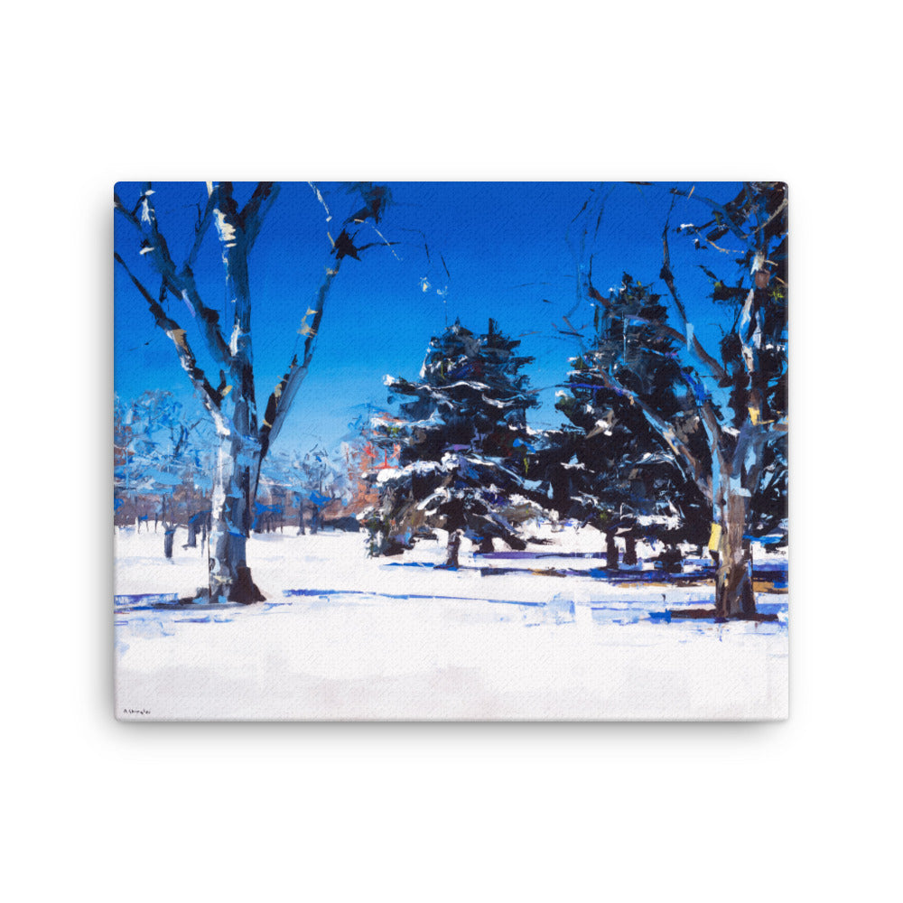 'Snow at City Park. Denver CO' -2013