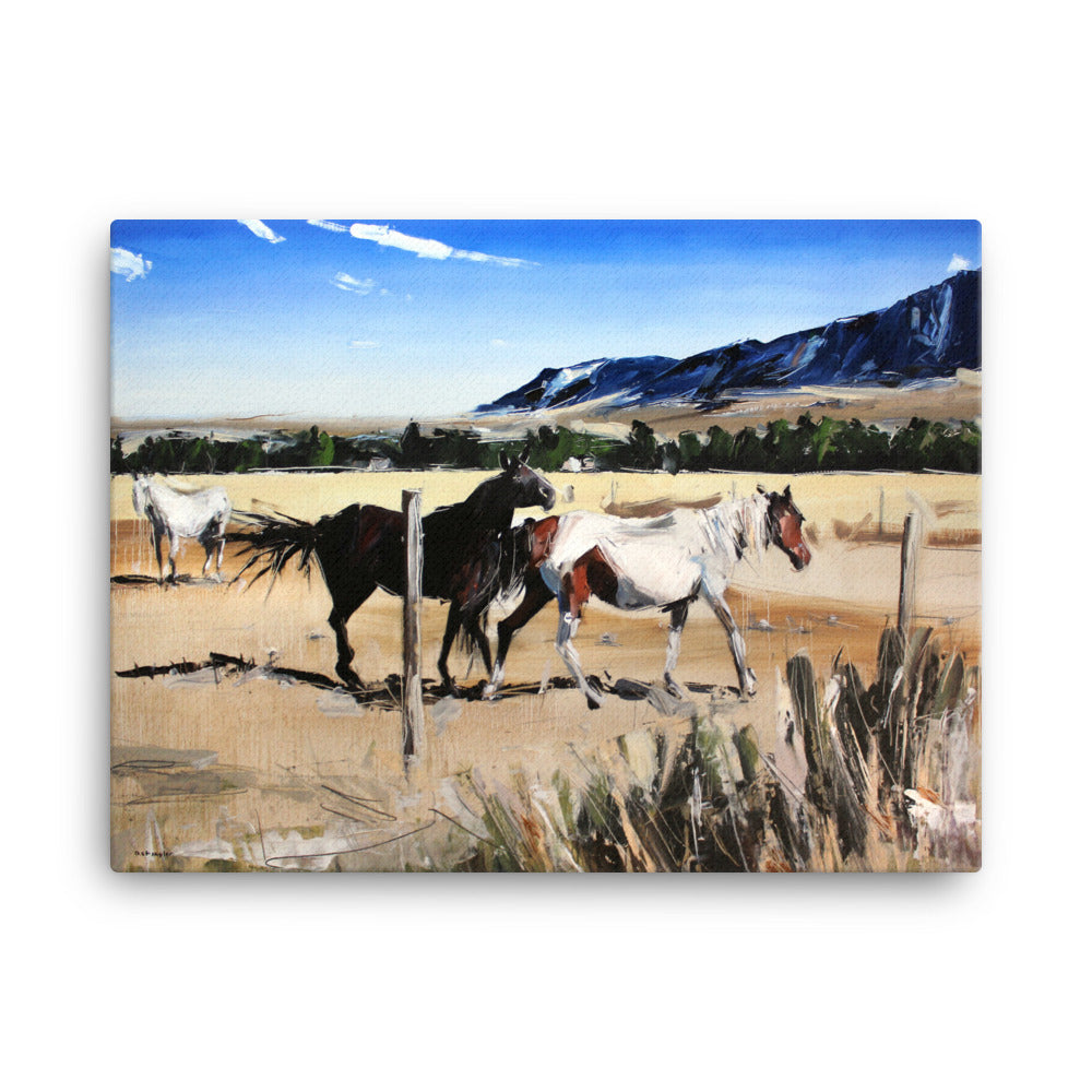 'Dancing Horses. Montana' -2018