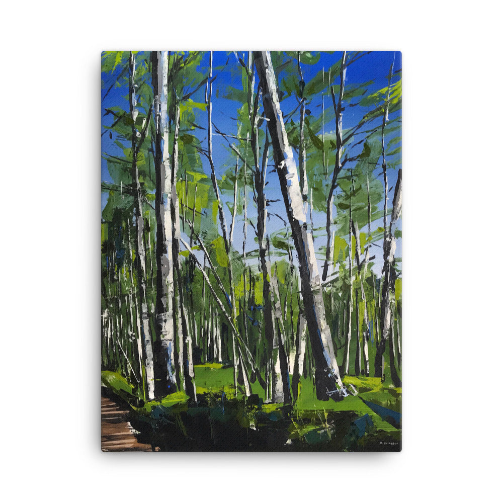 'Spring Aspens. Telluride, CO' -2018