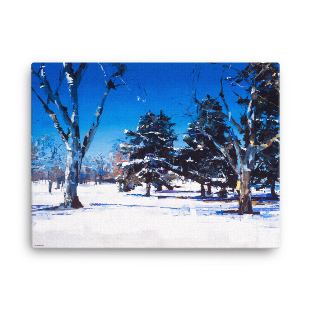 'Snow at City Park. Denver CO' -2013