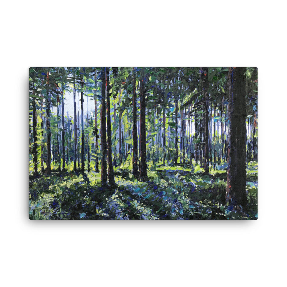 'Nantahala National Forest. NC' -2020