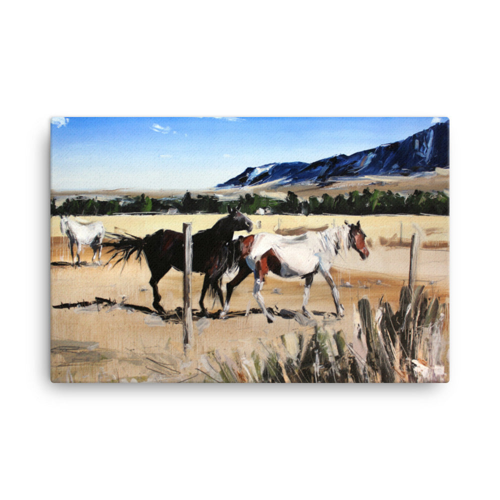'Dancing Horses. Montana' -2018