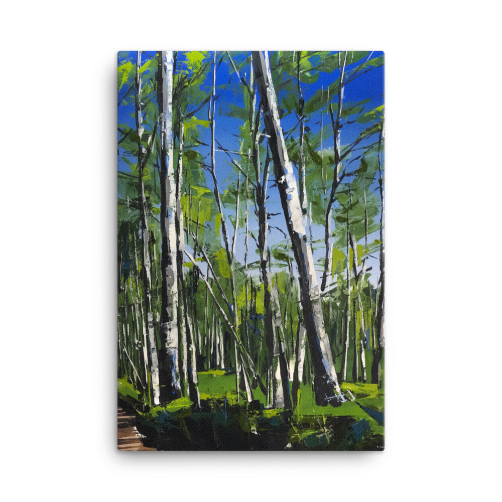 'Spring Aspens. Telluride, CO' -2018