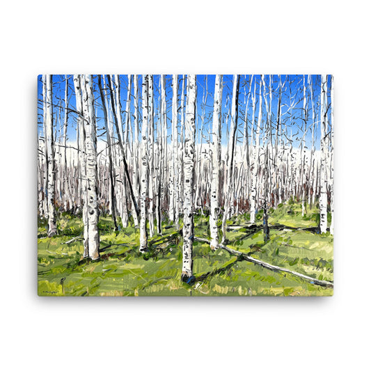 'Aspen Forest' -2023