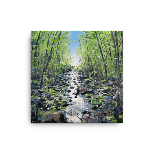 'Grandfather Mt. Creek. NC' -2021