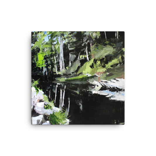 'Mitchell River. NC' -2018