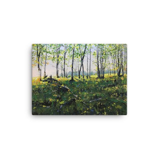 'Boone North Carolina' - 2019