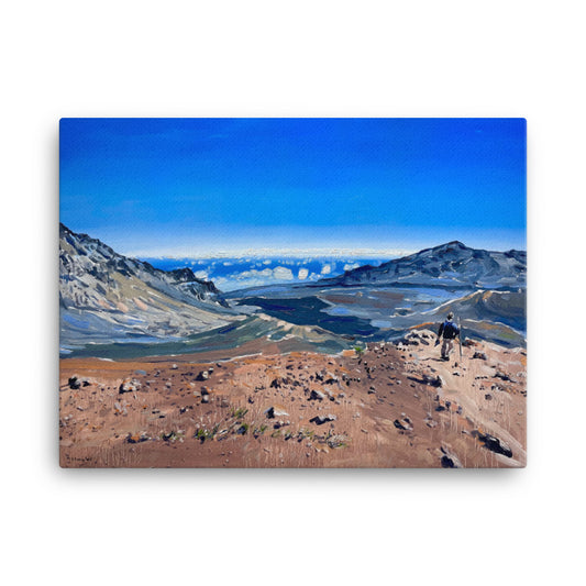 'Haleakala National Park on Maui' -2023