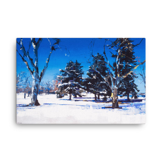 'Snow at City Park. Denver CO' -2013